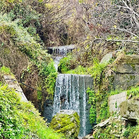 Luxury At Pelion- Ruby